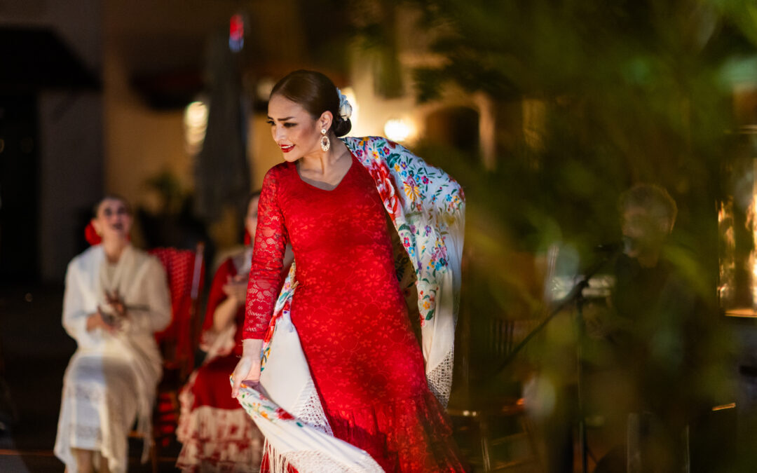 My first Flamenco Performance: Will I do it again?